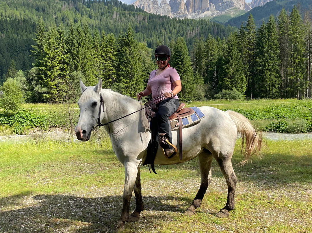 Charlotte Horse Riding-Campitello di Fassa必去景点