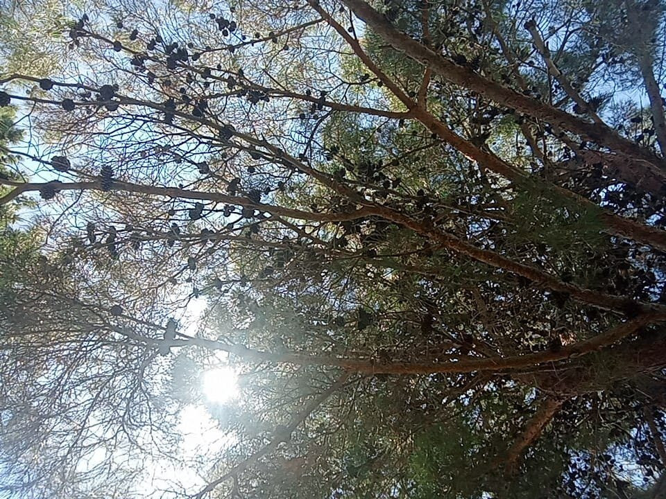 Nafsika Beach Hotel主图