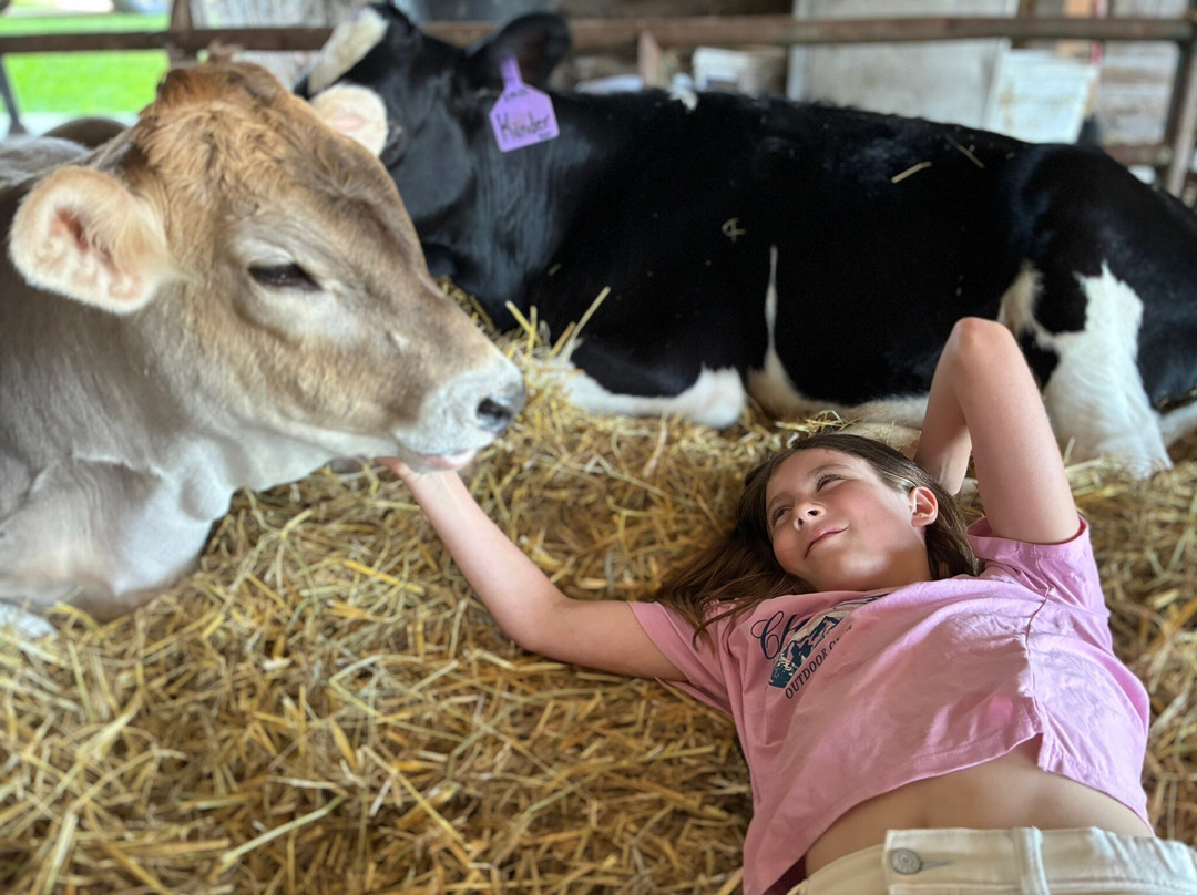 Sunset View Creamery-Odessa必去景点