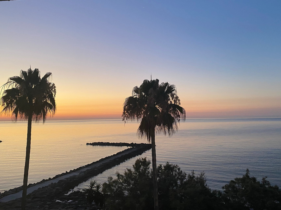 Protur Alicia Hotel主图