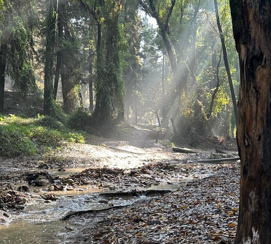 Tzahi Cohen - Private Tour Guide-Tel Mond必去景点