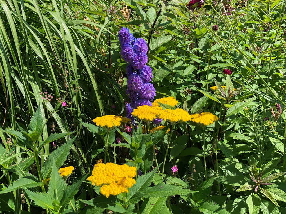 Den Engelska Tradgarden (The English Garden)-Kivik必去景点
