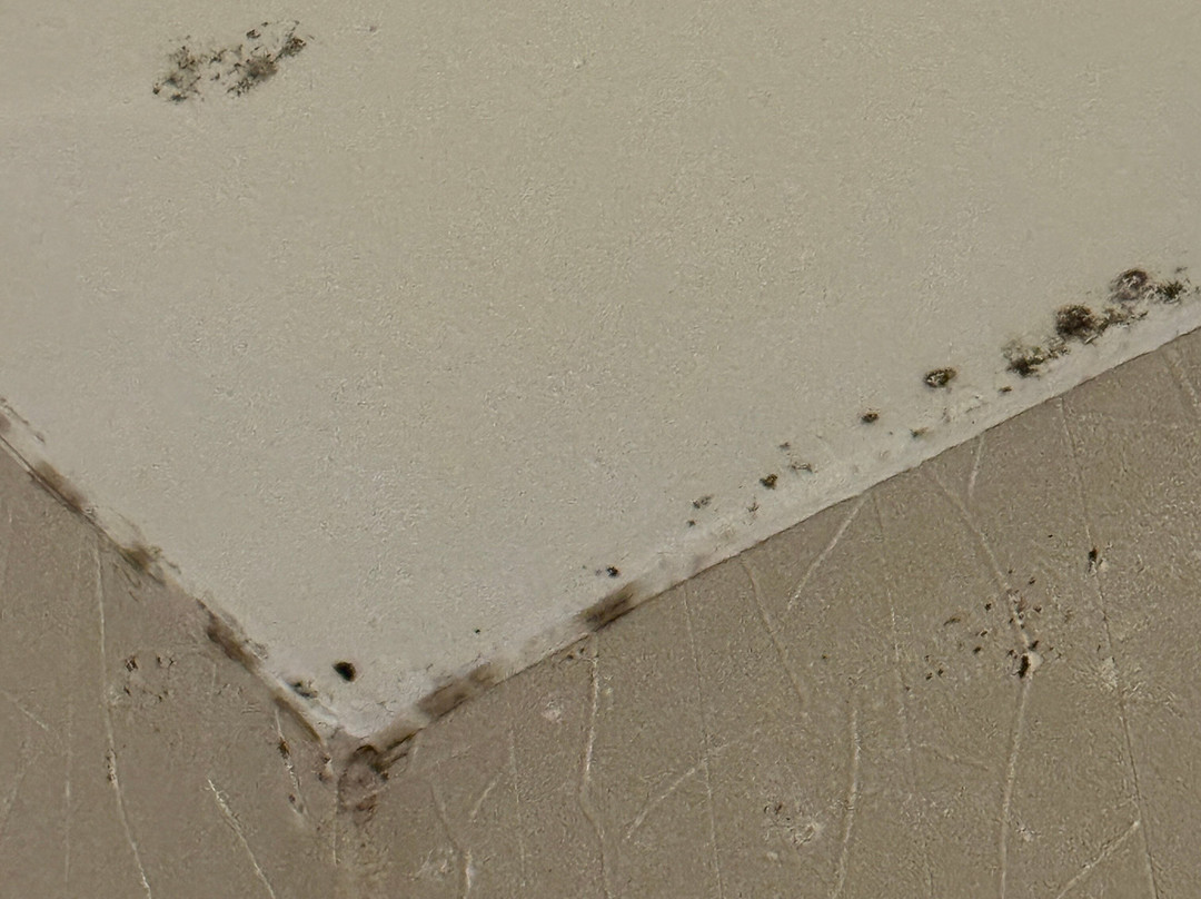 SpringHill Suites by Marriott Hampton主图