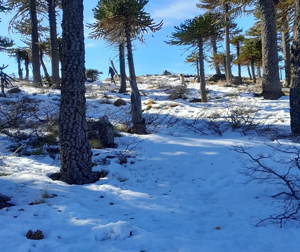 Laguna Escondida-Caviahue必去景点
