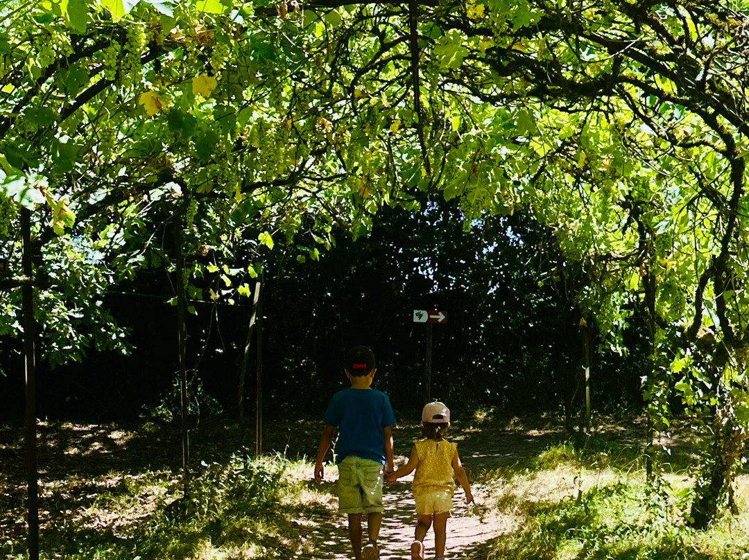 Le Château des Enigmes-Pons必去景点