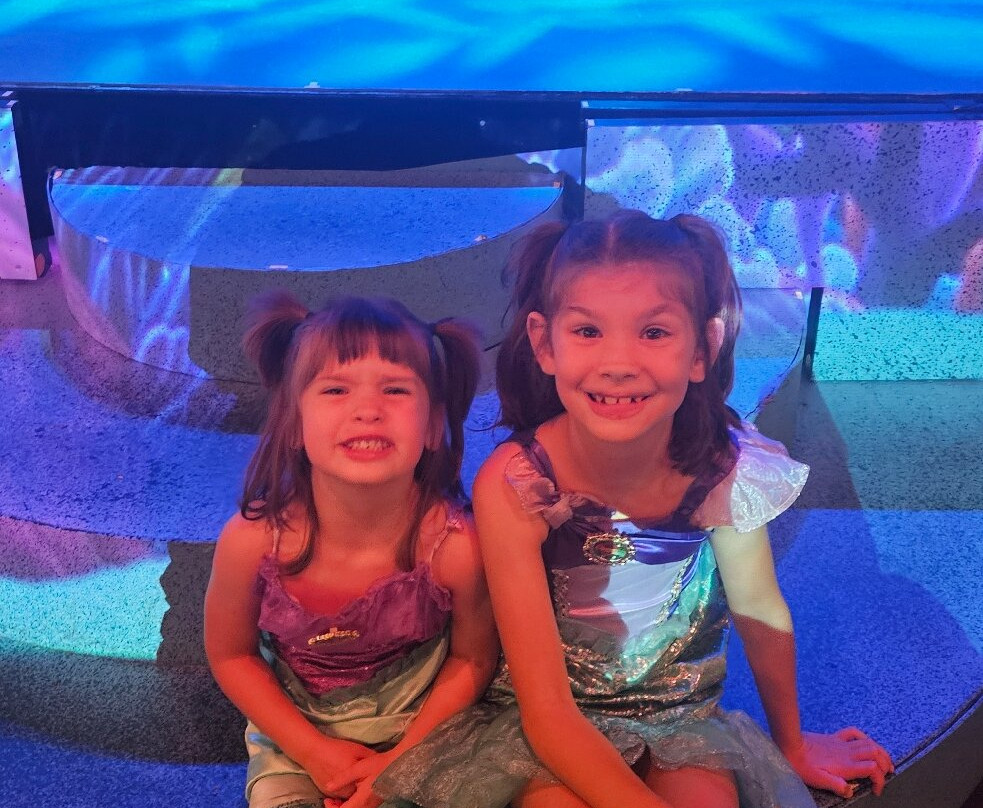 Beef & Boards Dinner Theatre-印第安纳波利斯必去景点