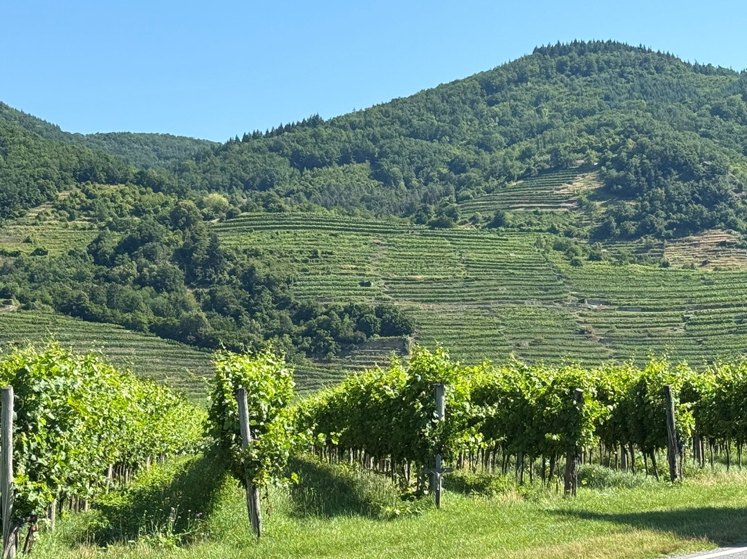 Hotel Kirchenwirt Wachau主图