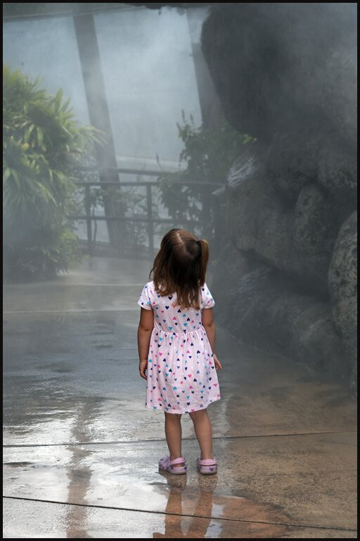 Butterfly World-Coconut Creek必去景点