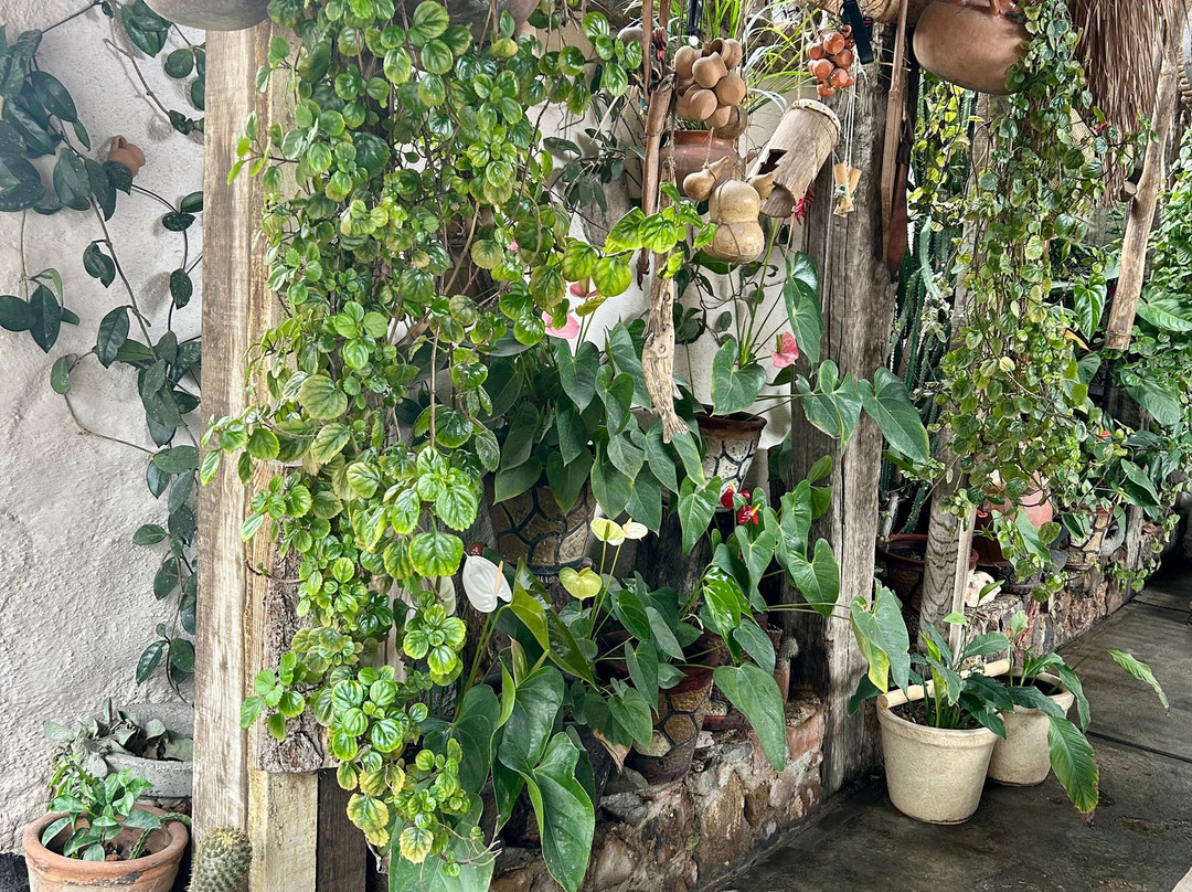 Temazcal Tonatiu Iquzayampa-null必去景点