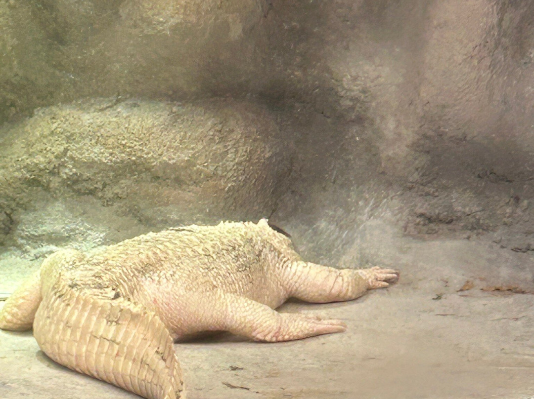 North Carolina Aquarium on Roanoke Island-Manteo必去景点