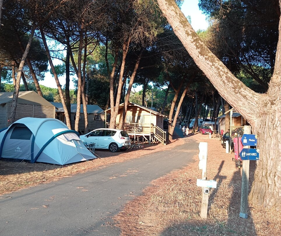 Flower Camping Le Bel Air主图