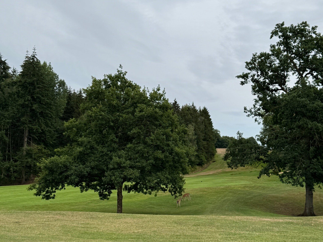 Bowood Golf-Calne必去景点