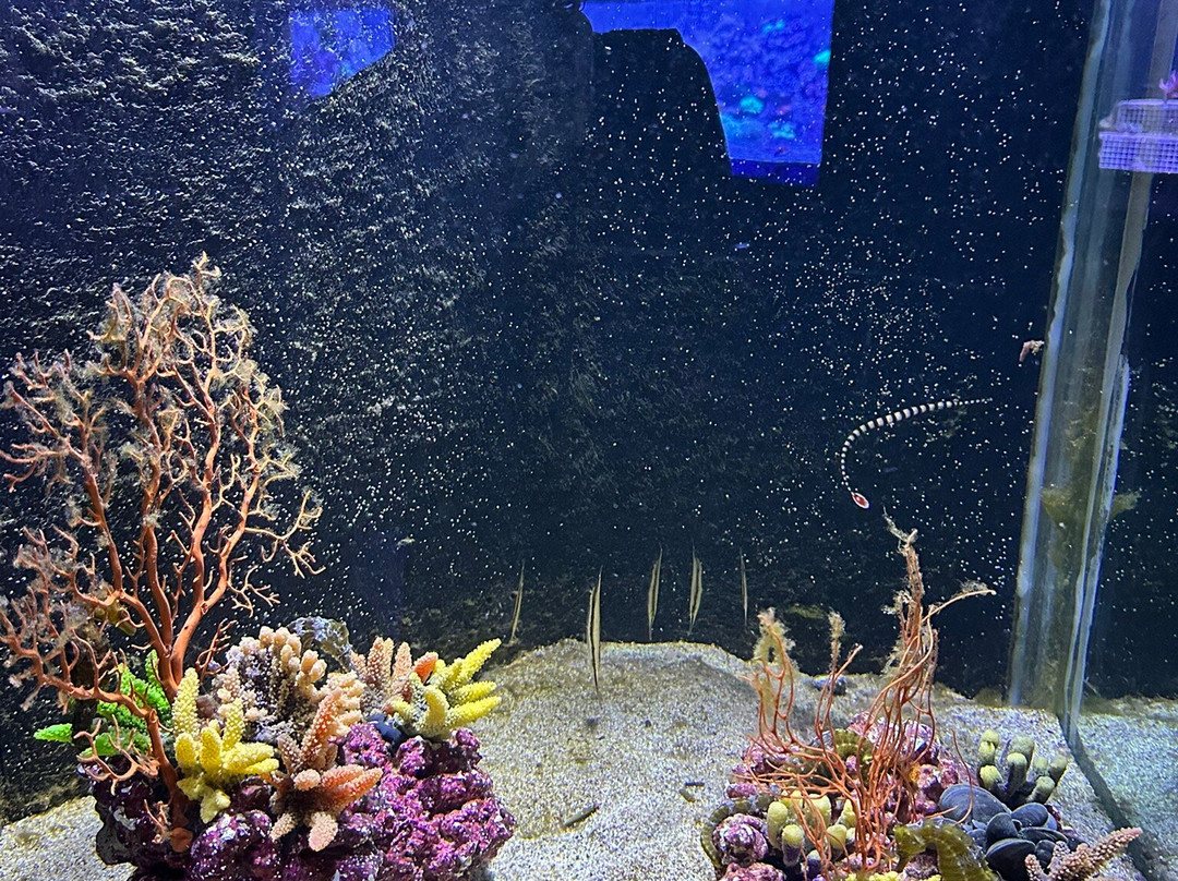 Aquarium d'Amneville-昂内维尔必去景点