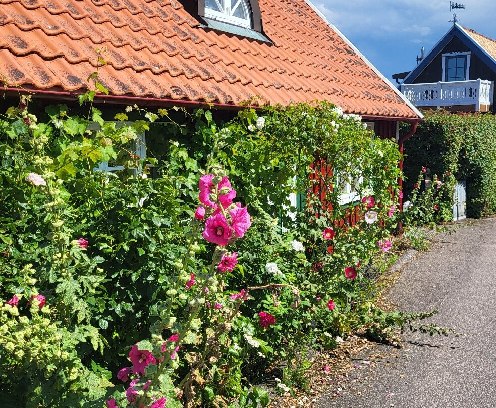 Arlids Hamn-Arild必去景点