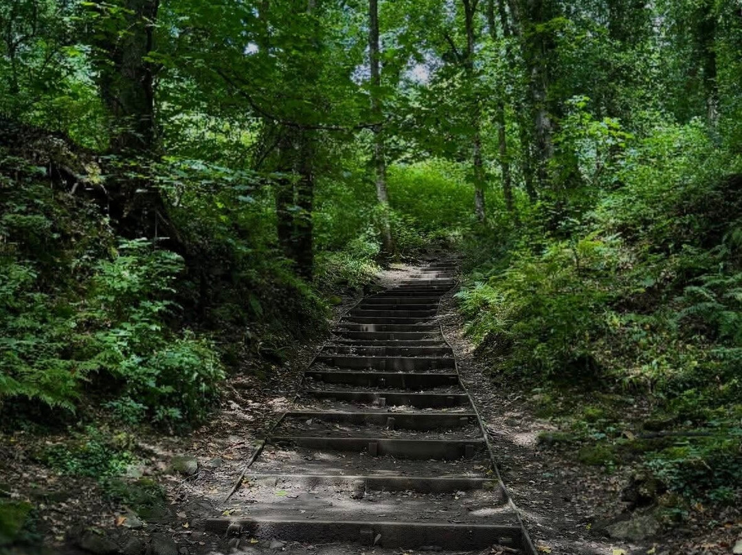 Fairy Glen-Appley Bridge必去景点