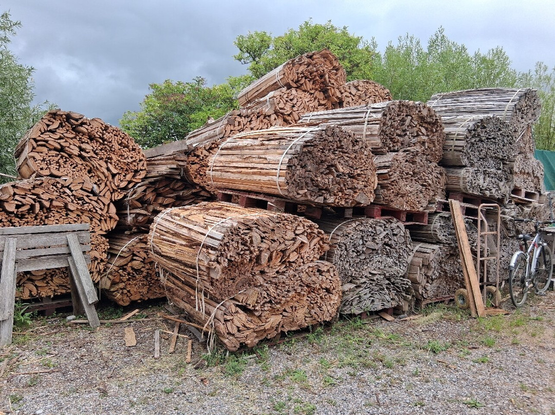 John Leach Muchelney Pottery-Muchelney必去景点