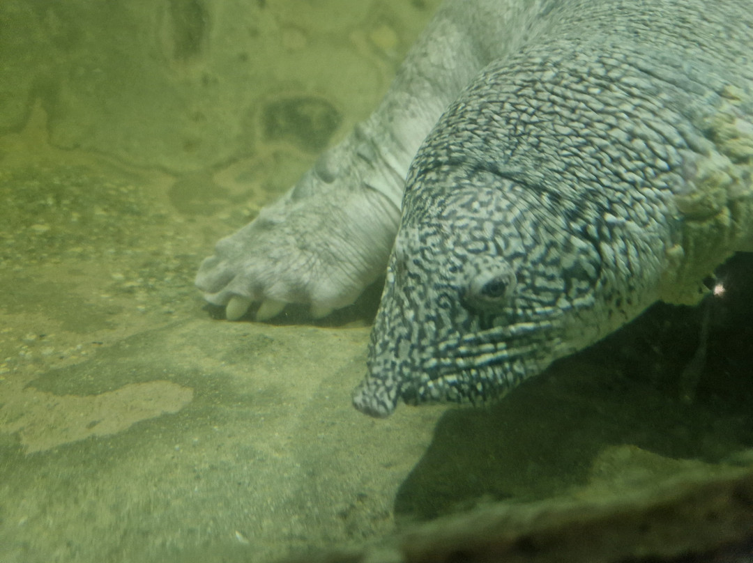 Sevastopol Aquarium-塞瓦斯托波尔必去景点