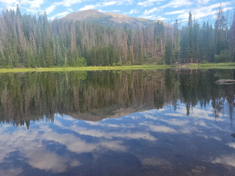Lily Pad Lake-银座必去景点
