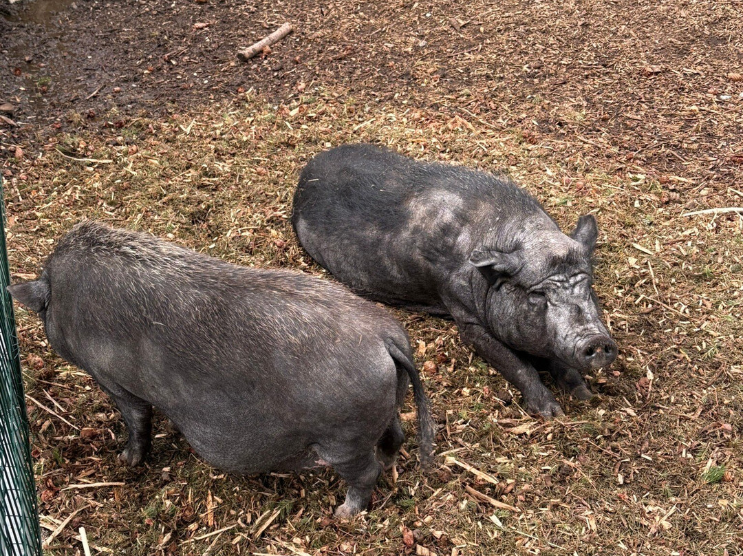 La Ferme du Rialet-La Llagonne必去景点