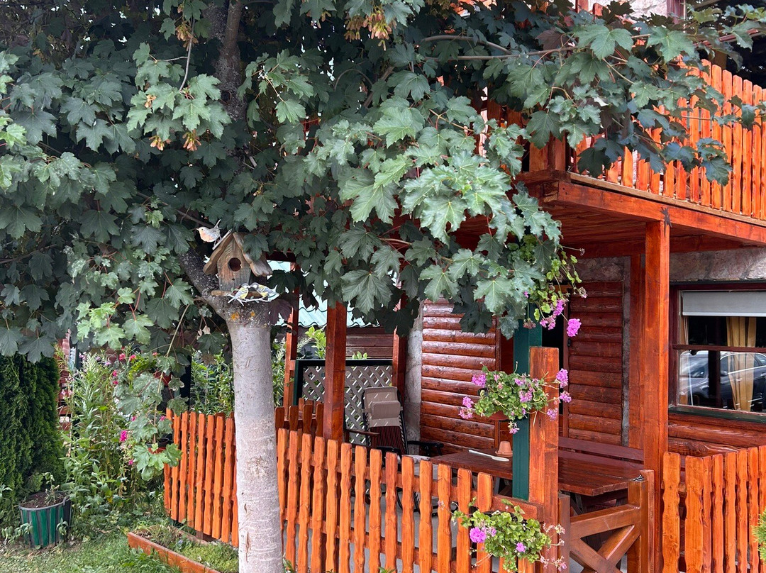 Renta Vile Calimero主图