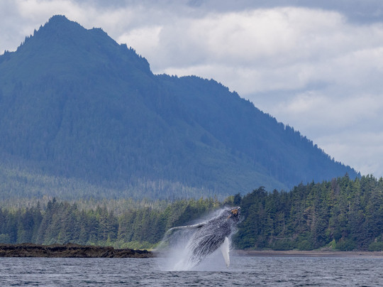 Glacier Wind Charters-胡纳必去景点