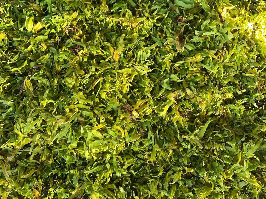 Parfum d’Ylang-Andranobe必去景点