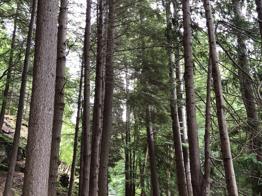 Attadale Gardens-Strathcarron必去景点