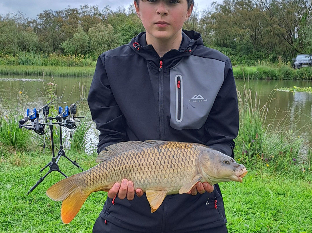 Yet-Y-Gors Campsite and Fishery Fishguard-Dwrbach必去景点