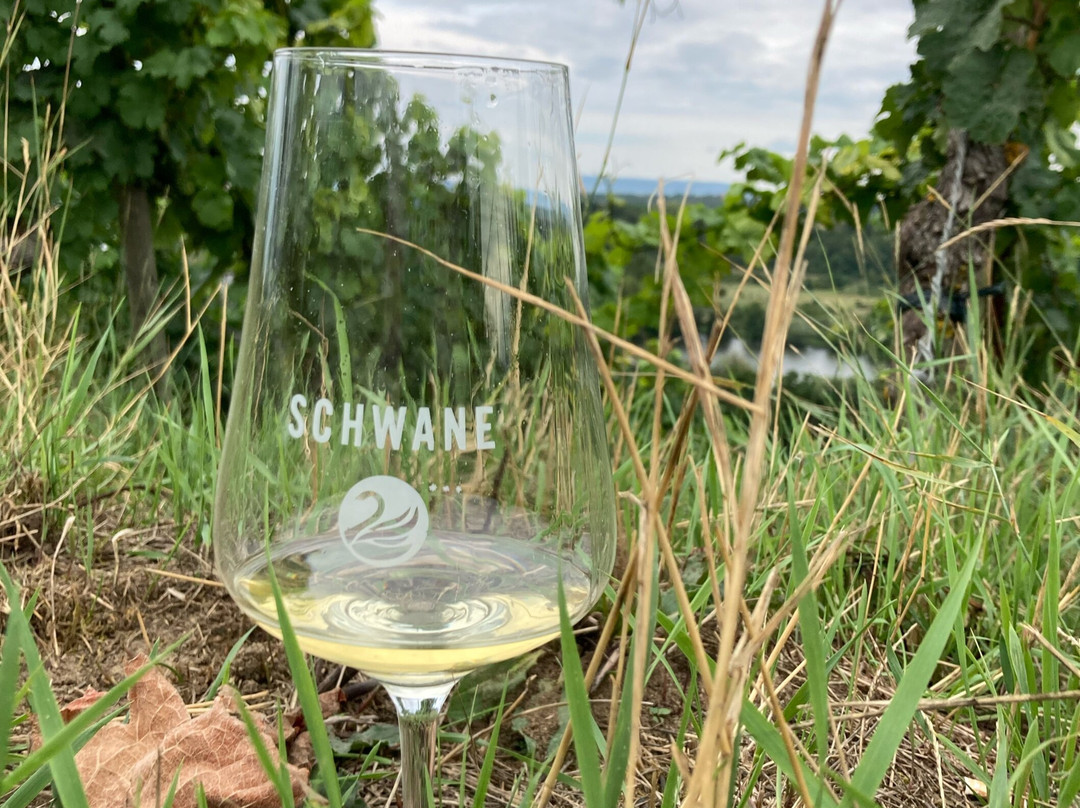 Romantik Hotel Zur Schwane主图