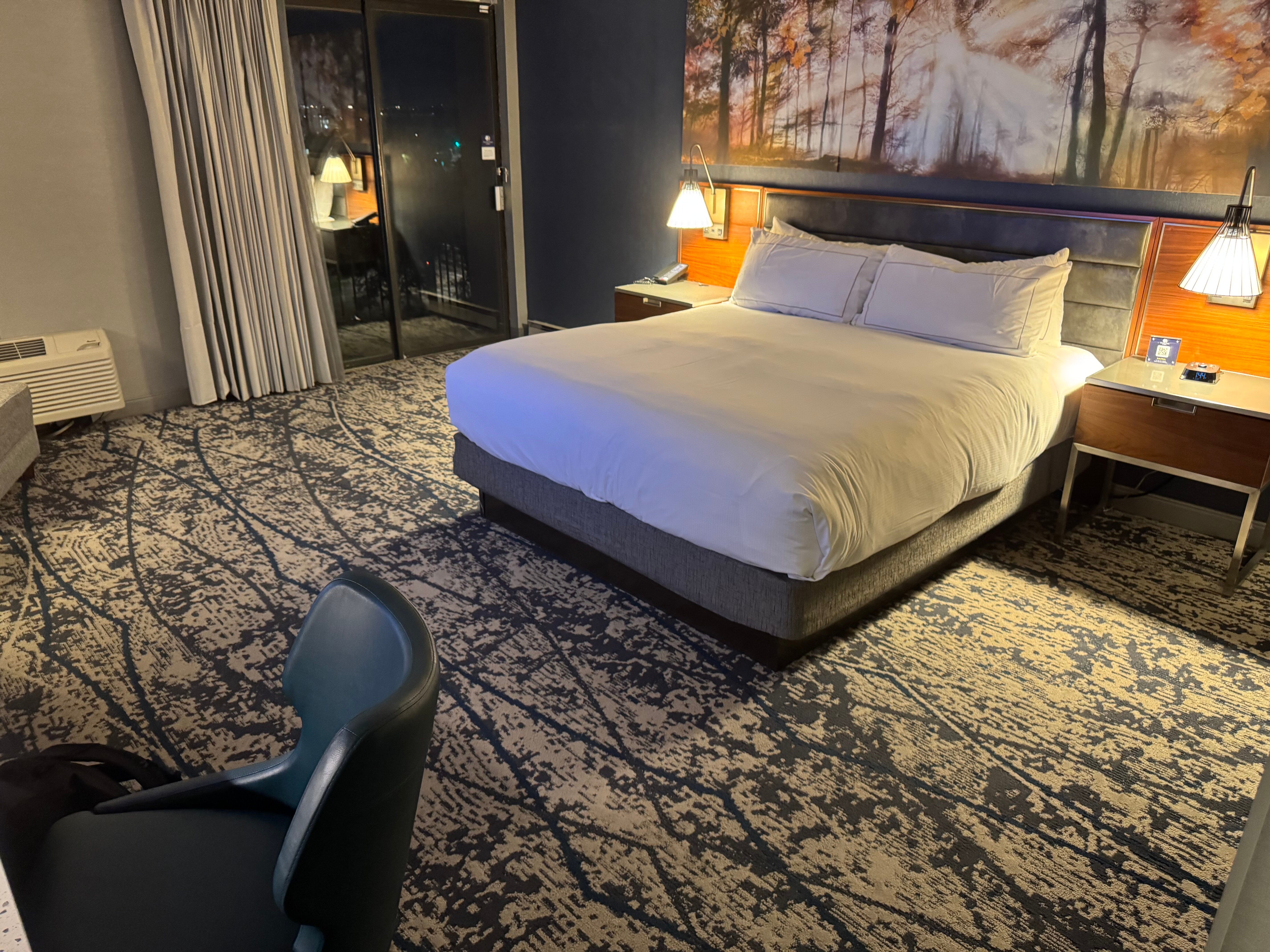 丹佛希尔顿逸林酒店-客卧