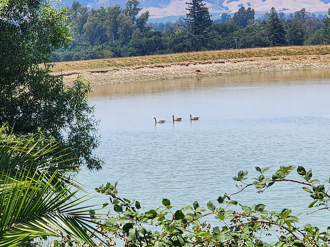 Gundlach Bundschu Winery-索诺玛必去景点
