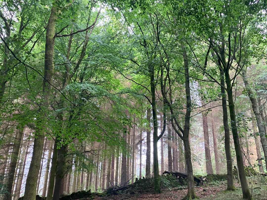 Derwent Reservoir Walk, Derbyshire-Bamford必去景点