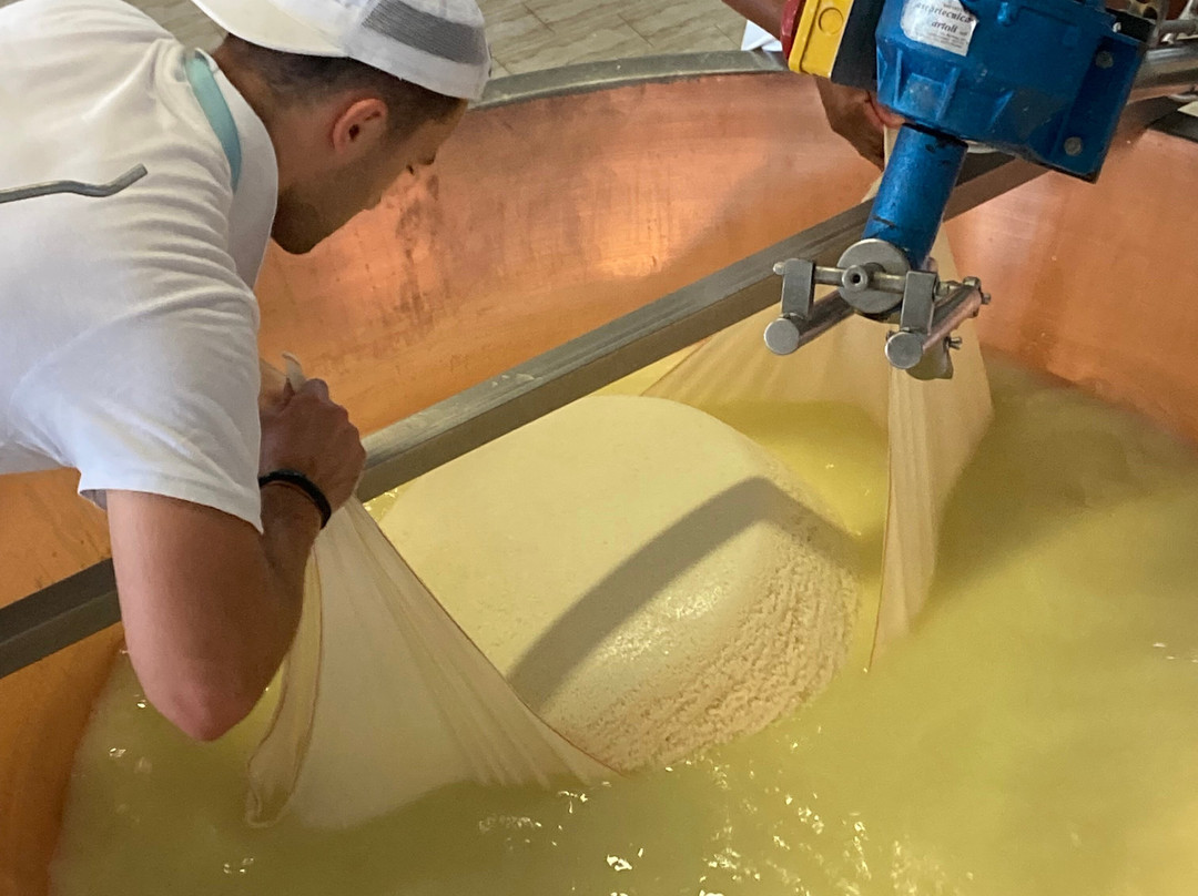 Caseificio San Pier Damiani-帕尔马必去景点