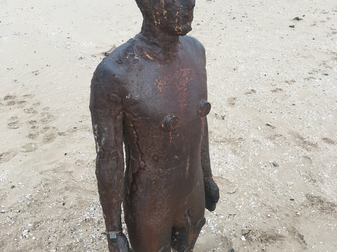 Crosby Beach-克罗斯比必去景点