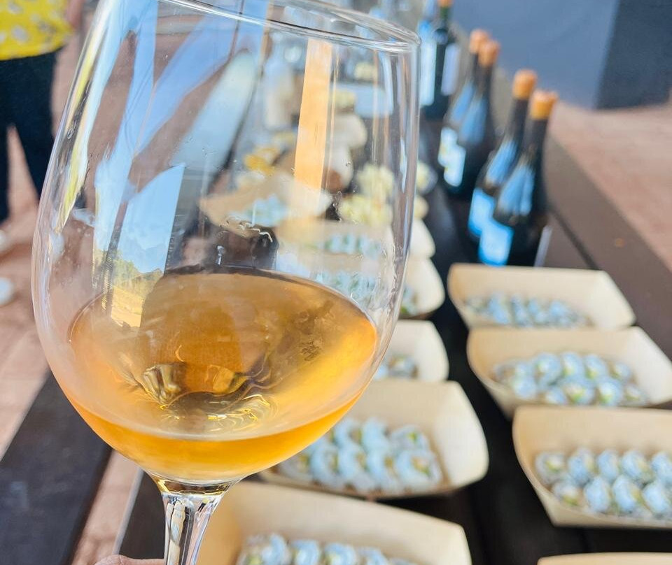 Maturana Wines-San Fernando必去景点