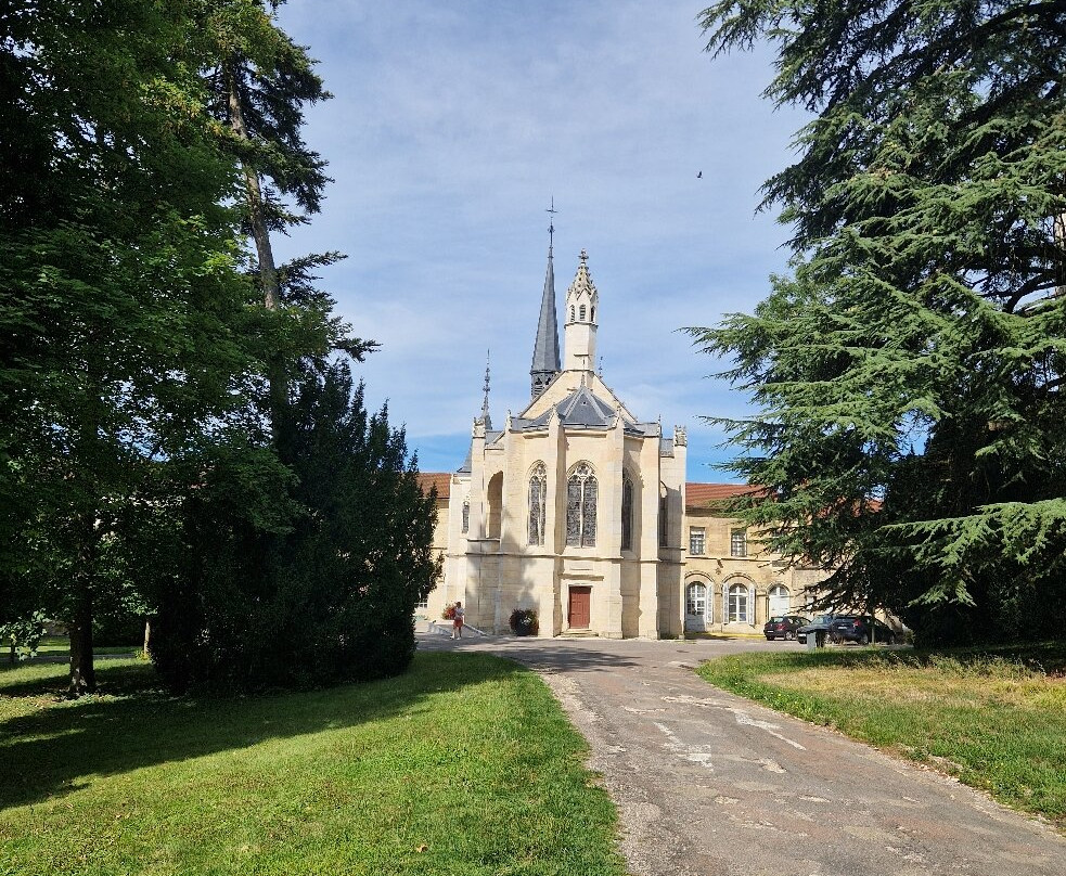 猫头鹰雕刻-第戎必去景点