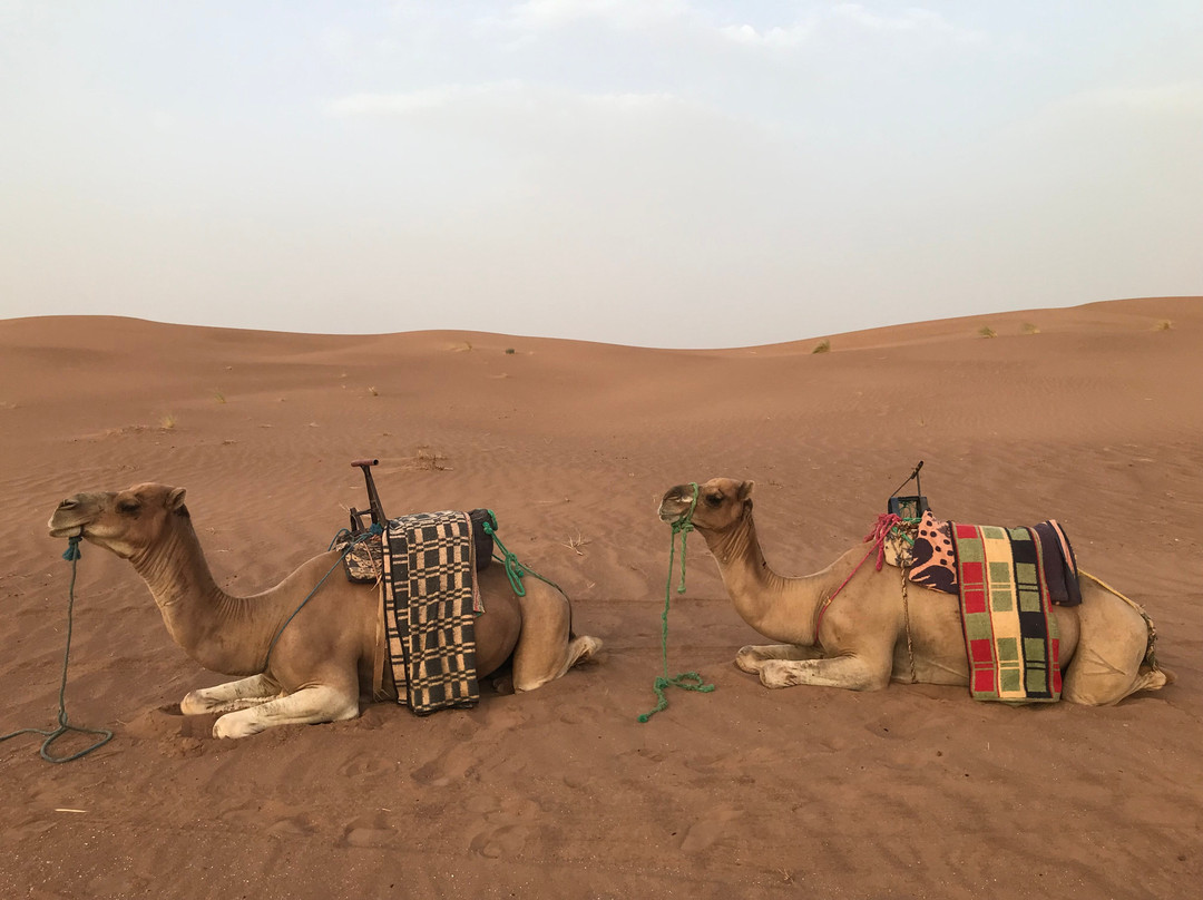 Désert Iriki Excursions-Foum Zguid必去景点