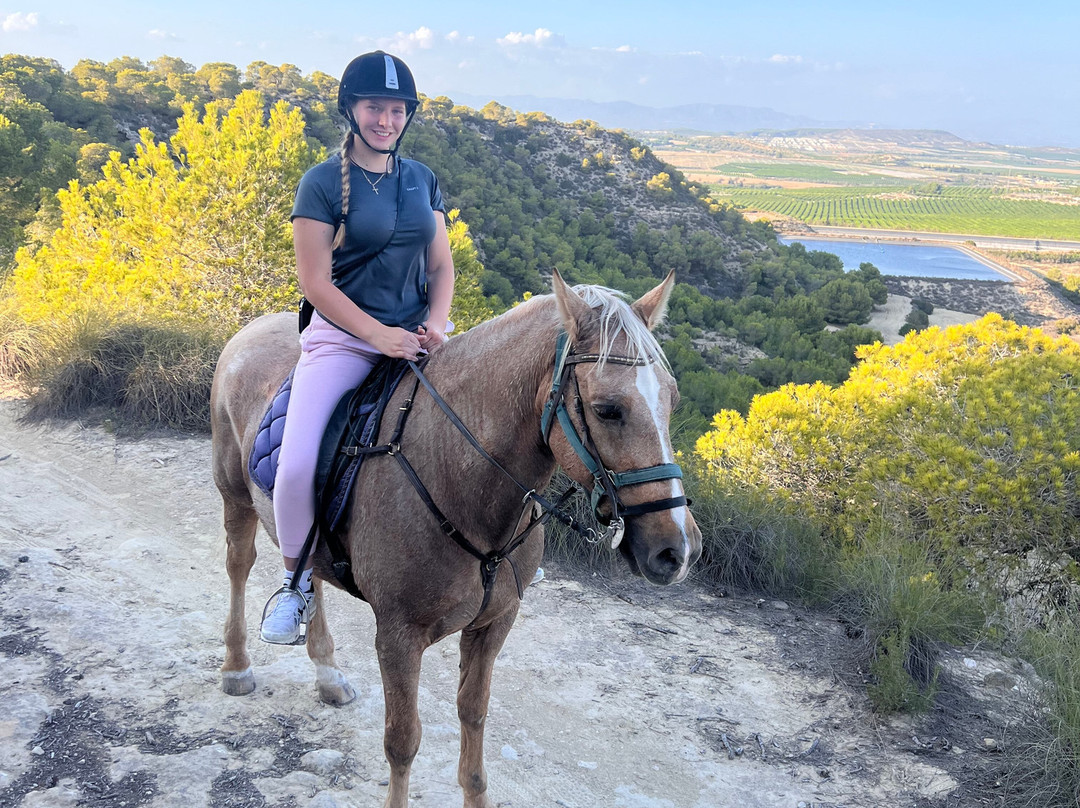 Hipica Gilillo-San Miguel de Salinas必去景点