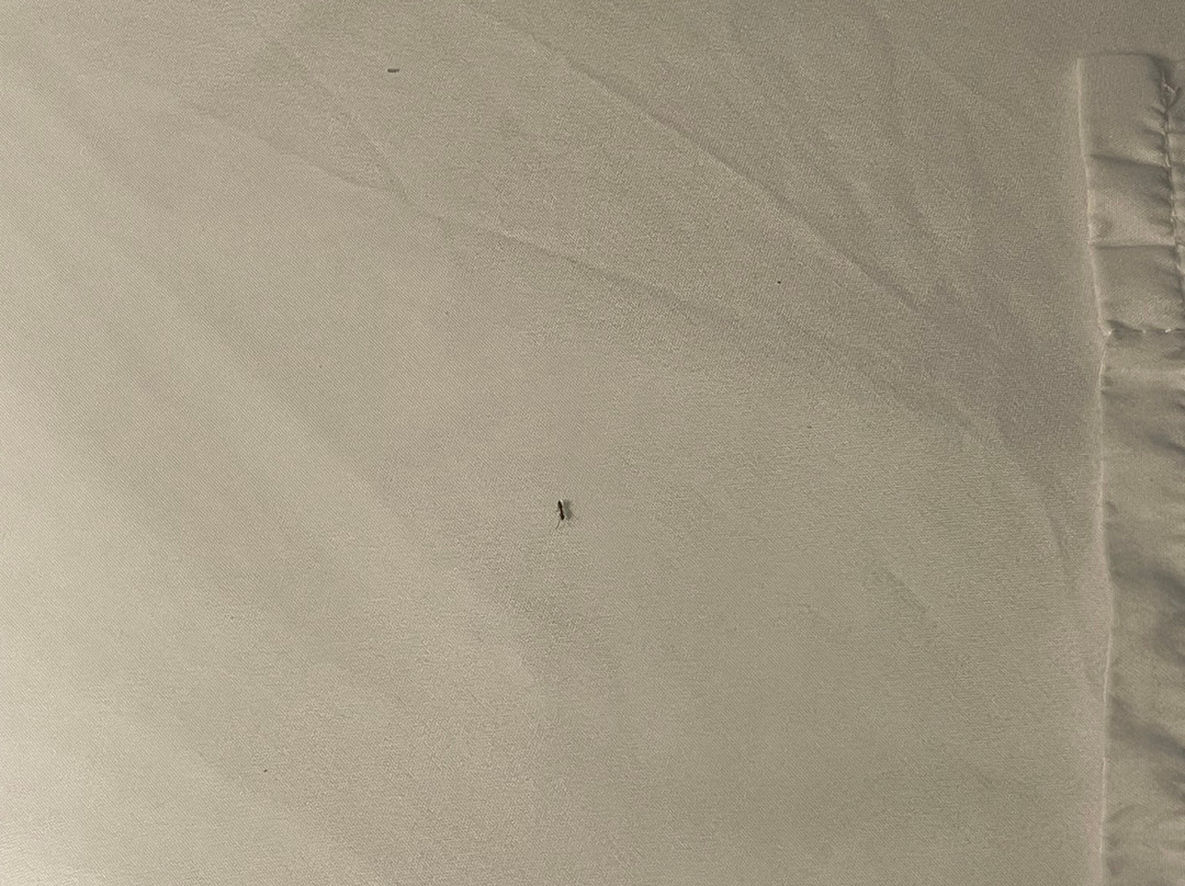 Quality Inn and Conference Center主图