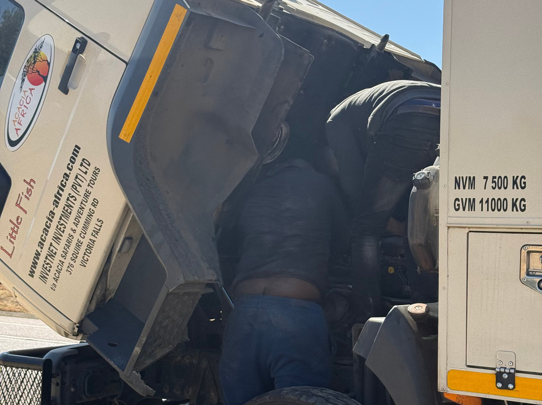 Acacia Africa-开普敦中心区必去景点