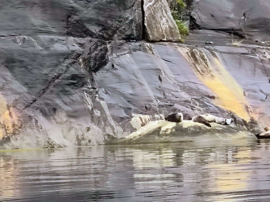 Hardanger Fjordsafari-Eidfjord必去景点