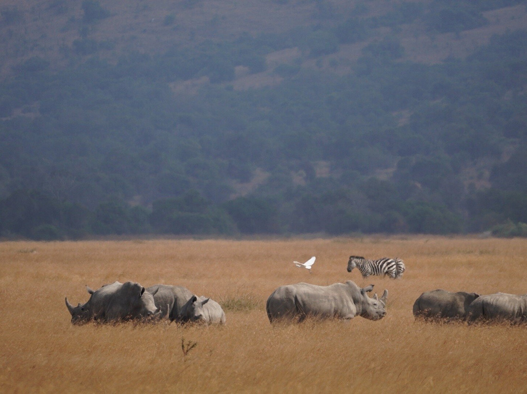 Serenity adventure safaris-吉佳利必去景点
