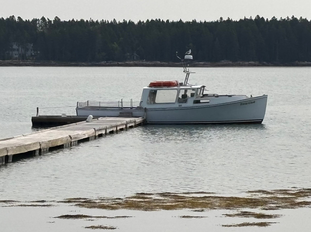 Acadia Puffin Cruise-Steuben必去景点