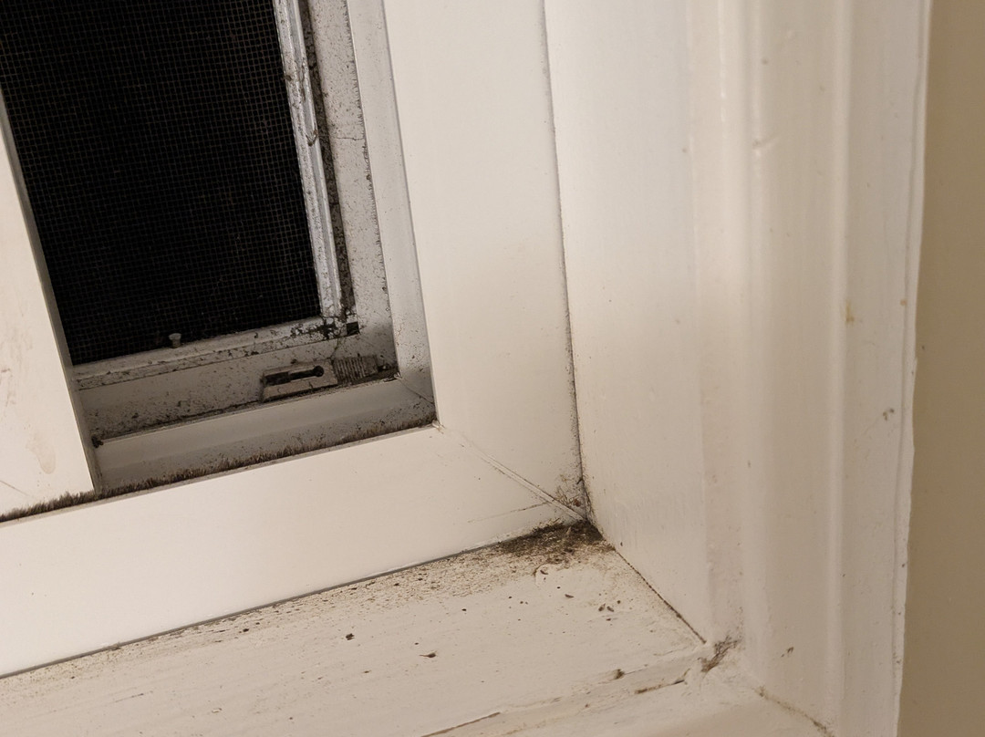 Starlight Lodge Cape Cod主图