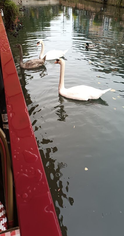 Marché Couvert-科尔马必去景点