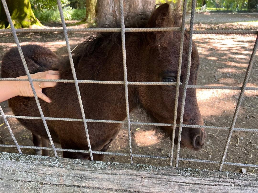 Tierpark Stadt Haag-Haag必去景点