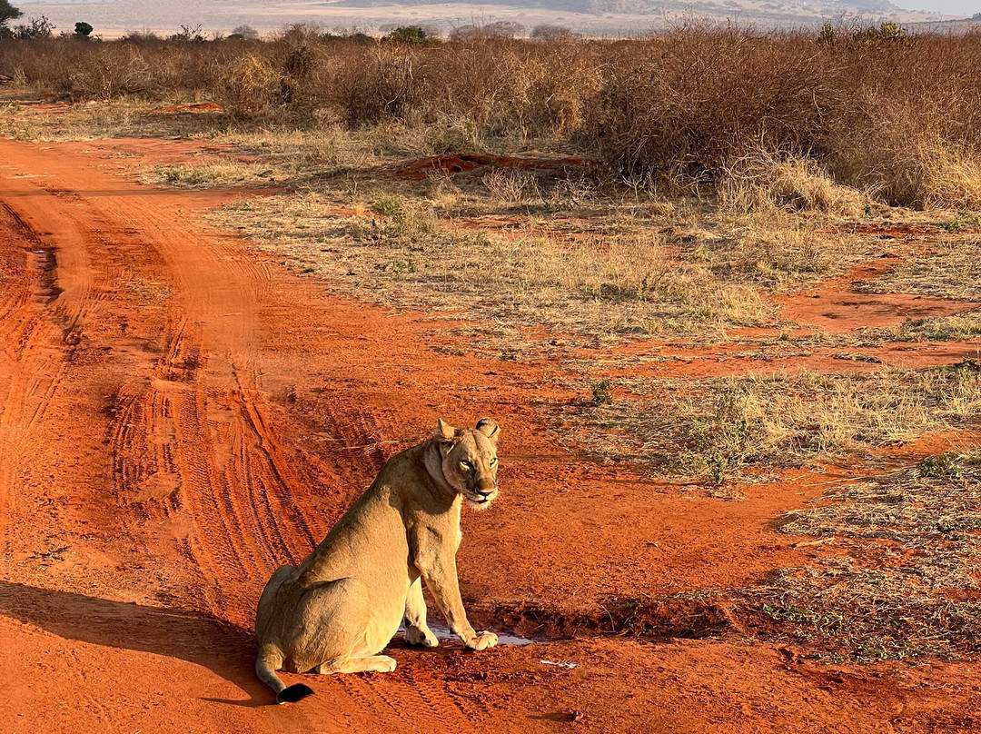 FAMILY LEISURE AFRICA SAFARIS-内罗毕必去景点