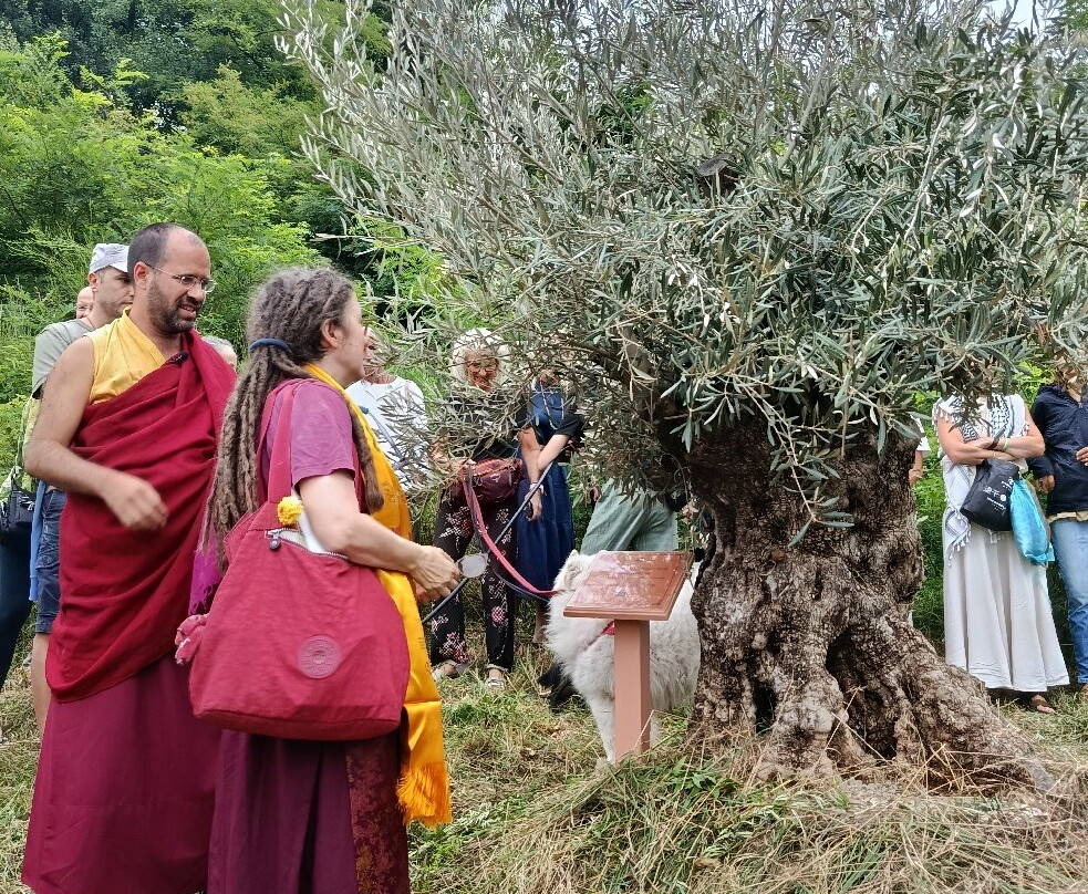 Albagnano Healing Meditation Centre-Bee必去景点