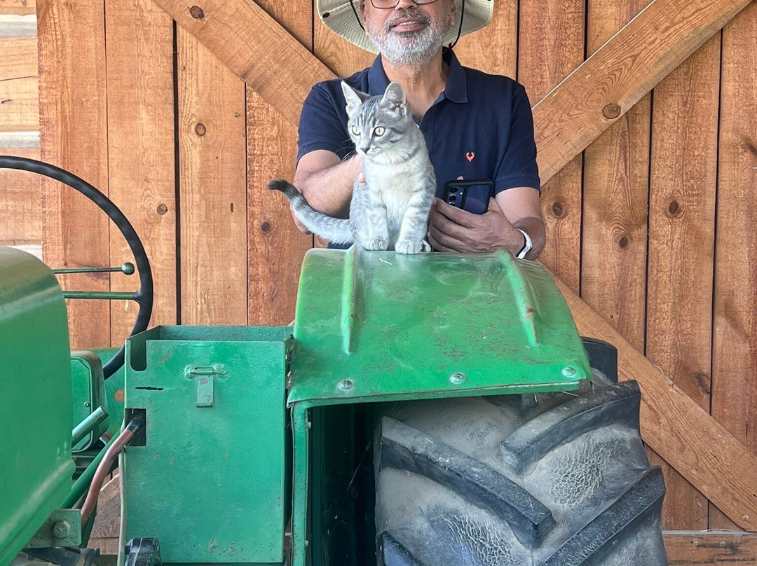 Davison Orchards Country Village-弗农必去景点