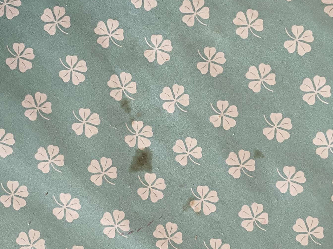 散库斯贝德酒店主图